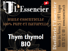 Huile essentielle de Thym Vulgaire à Thymol