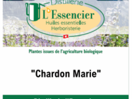 Infusion Chardon Marie 40 gr