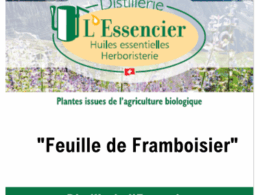 Infusion Framboisier 40 gr